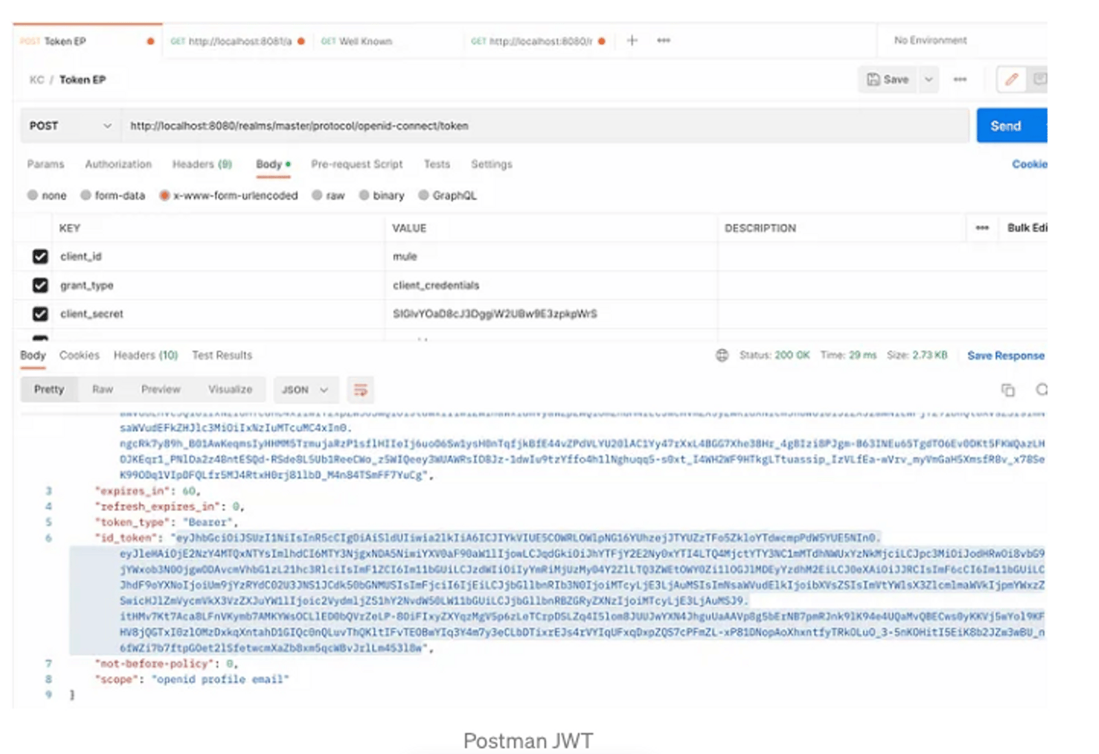 How the Mulesoft JWT Validation Policy Works